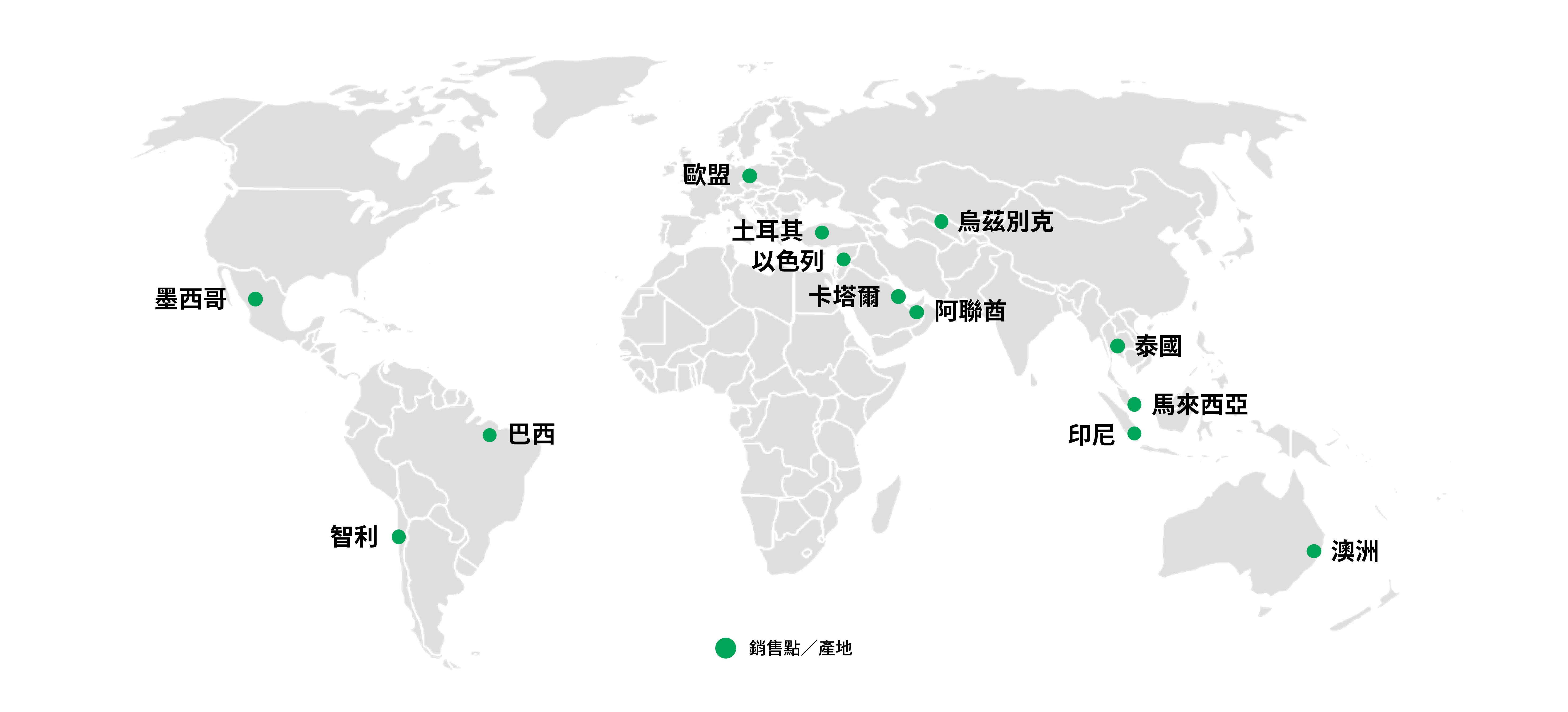 Chinese auto company with a strong global footprint